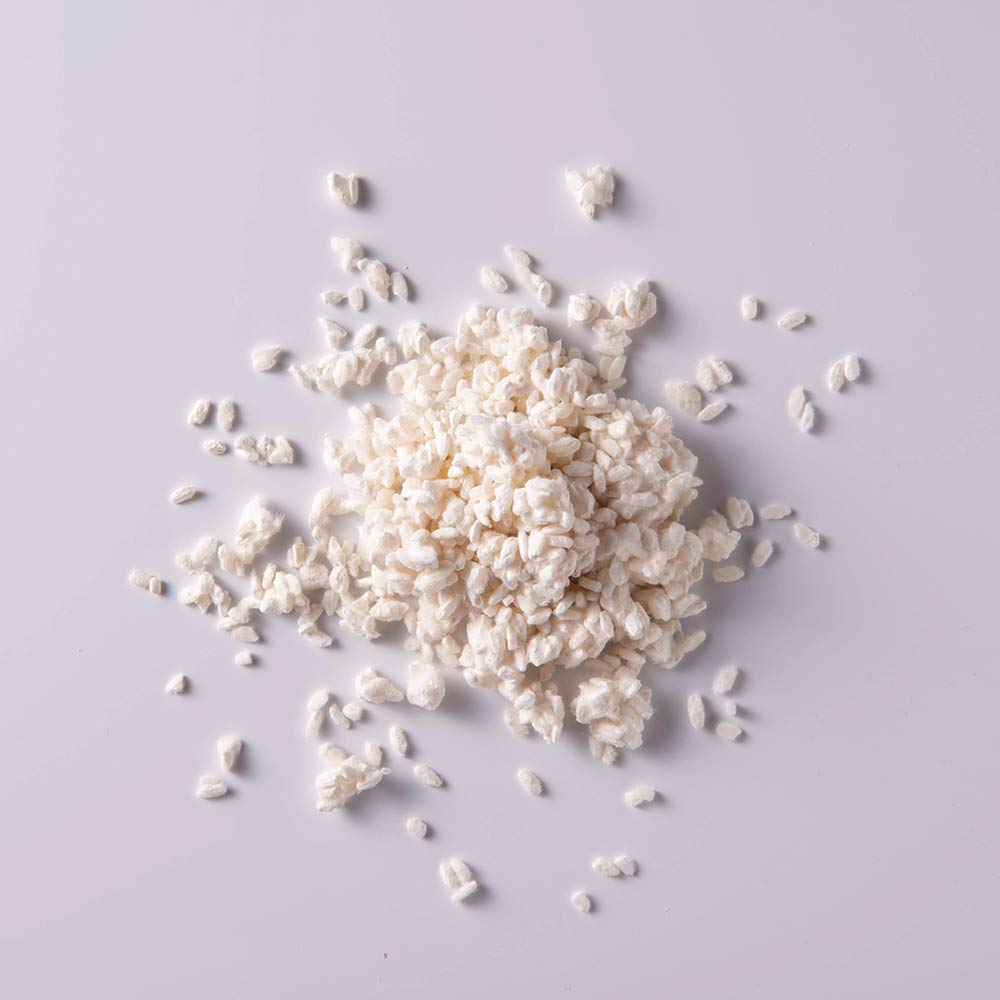 Amazon.co.jp: 糀屋本店 乾燥米糀 2kg (200g×10)【創業1689年】 乾燥米